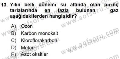 Ekoloji ve Çevre Bilgisi Dersi 2015 - 2016 Yılı (Final) Dönem Sonu Sınav Soruları 13. Soru