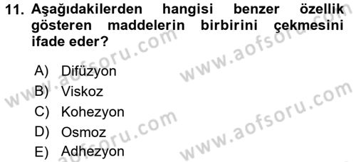 Ekoloji ve Çevre Bilgisi Dersi 2016 - 2017 Yılı (Vize) Ara Sınav Soruları 11. Soru