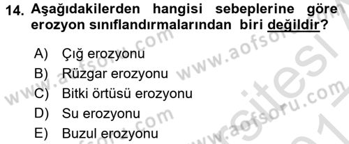 Ekoloji ve Çevre Bilgisi Dersi Ara Sınavı Deneme Sınav Soruları 14. Soru