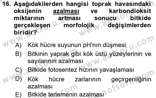 Ekoloji ve Çevre Bilgisi Dersi 2016 - 2017 Yılı (Vize) Ara Sınav Soruları 16. Soru