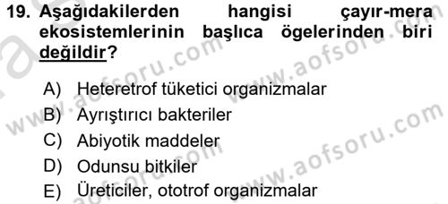 Ekoloji ve Çevre Bilgisi Dersi 2016 - 2017 Yılı (Vize) Ara Sınav Soruları 19. Soru