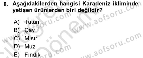 Ekoloji ve Çevre Bilgisi Dersi 2016 - 2017 Yılı (Vize) Ara Sınav Soruları 8. Soru