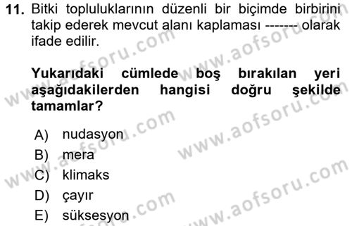 Ekoloji ve Çevre Bilgisi Dersi 2017 - 2018 Yılı 3 Ders Sınav Soruları 11. Soru