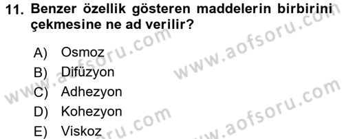 Ekoloji ve Çevre Bilgisi Dersi 2017 - 2018 Yılı (Vize) Ara Sınav Soruları 11. Soru