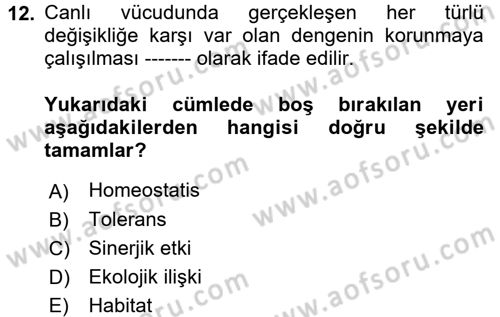 Ekoloji ve Çevre Bilgisi Dersi Ara Sınavı Deneme Sınav Soruları 12. Soru
