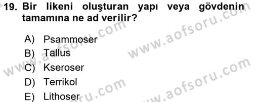 Ekoloji ve Çevre Bilgisi Dersi 2017 - 2018 Yılı (Vize) Ara Sınav Soruları 19. Soru