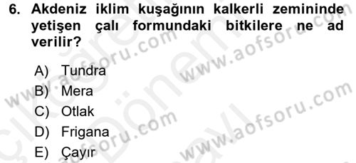 Ekoloji ve Çevre Bilgisi Dersi 2017 - 2018 Yılı (Final) Dönem Sonu Sınav Soruları 6. Soru