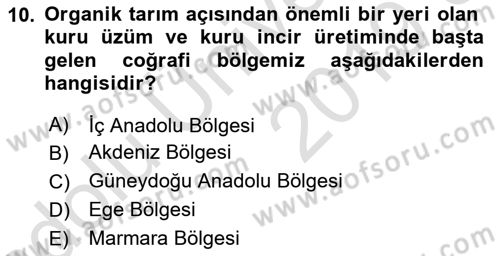 Ekoloji ve Çevre Bilgisi Dersi 2018 - 2019 Yılı 3 Ders Sınav Soruları 10. Soru