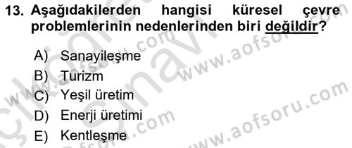 Ekoloji ve Çevre Bilgisi Dersi 2018 - 2019 Yılı 3 Ders Sınav Soruları 13. Soru