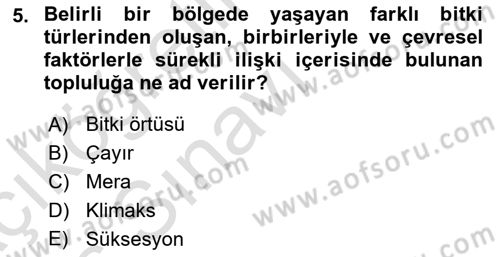 Ekoloji ve Çevre Bilgisi Dersi 2018 - 2019 Yılı 3 Ders Sınav Soruları 5. Soru