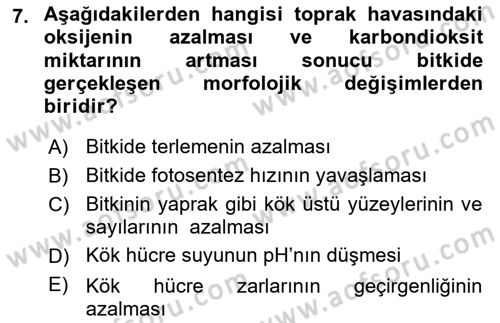 Ekoloji ve Çevre Bilgisi Dersi 2018 - 2019 Yılı 3 Ders Sınav Soruları 7. Soru