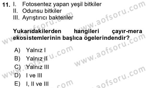 Ekoloji ve Çevre Bilgisi Dersi Ara Sınavı Deneme Sınav Soruları 11. Soru