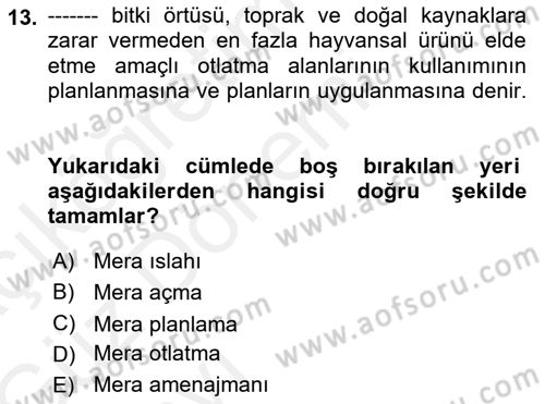Ekoloji ve Çevre Bilgisi Dersi 2018 - 2019 Yılı (Vize) Ara Sınav Soruları 13. Soru