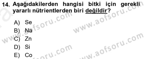 Ekoloji ve Çevre Bilgisi Dersi 2018 - 2019 Yılı (Vize) Ara Sınav Soruları 14. Soru