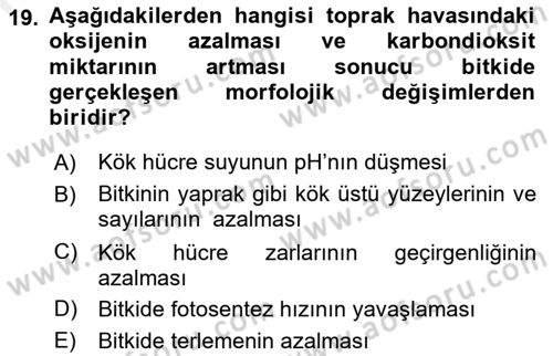 Ekoloji ve Çevre Bilgisi Dersi 2018 - 2019 Yılı (Vize) Ara Sınav Soruları 19. Soru