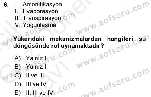 Ekoloji ve Çevre Bilgisi Dersi 2018 - 2019 Yılı (Vize) Ara Sınav Soruları 6. Soru
