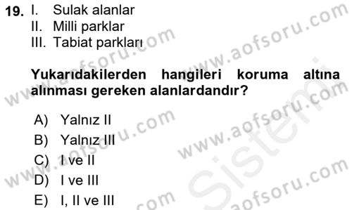 Ekoloji ve Çevre Bilgisi Dersi 2018 - 2019 Yılı (Final) Dönem Sonu Sınav Soruları 19. Soru