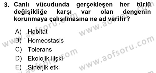 Ekoloji ve Çevre Bilgisi Dersi 2018 - 2019 Yılı (Final) Dönem Sonu Sınav Soruları 3. Soru