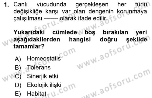 Ekoloji ve Çevre Bilgisi Dersi 2018 - 2019 Yılı Yaz Okulu Sınav Soruları 1. Soru