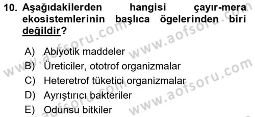 Ekoloji ve Çevre Bilgisi Dersi 2018 - 2019 Yılı Yaz Okulu Sınav Soruları 10. Soru
