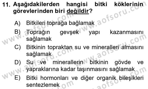 Ekoloji ve Çevre Bilgisi Dersi 2018 - 2019 Yılı Yaz Okulu Sınav Soruları 11. Soru