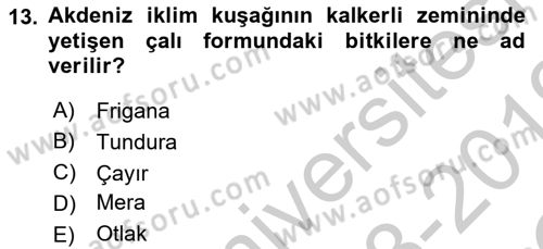 Ekoloji ve Çevre Bilgisi Dersi 2018 - 2019 Yılı Yaz Okulu Sınav Soruları 13. Soru