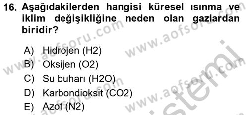 Ekoloji ve Çevre Bilgisi Dersi 2018 - 2019 Yılı Yaz Okulu Sınav Soruları 16. Soru