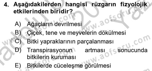 Ekoloji ve Çevre Bilgisi Dersi 2018 - 2019 Yılı Yaz Okulu Sınav Soruları 4. Soru