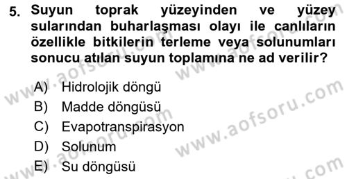 Ekoloji ve Çevre Bilgisi Dersi 2018 - 2019 Yılı Yaz Okulu Sınav Soruları 5. Soru