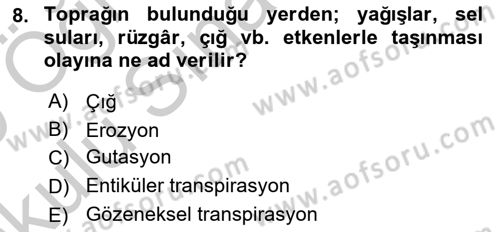 Ekoloji ve Çevre Bilgisi Dersi 2018 - 2019 Yılı Yaz Okulu Sınav Soruları 8. Soru