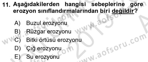 Ekoloji ve Çevre Bilgisi Dersi 2019 - 2020 Yılı (Vize) Ara Sınav Soruları 11. Soru