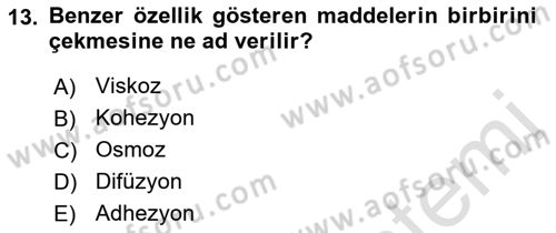 Ekoloji ve Çevre Bilgisi Dersi 2019 - 2020 Yılı (Vize) Ara Sınav Soruları 13. Soru