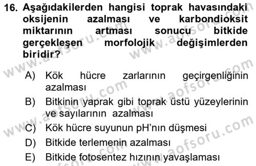 Ekoloji ve Çevre Bilgisi Dersi Ara Sınavı Deneme Sınav Soruları 16. Soru