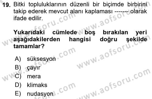 Ekoloji ve Çevre Bilgisi Dersi 2019 - 2020 Yılı (Vize) Ara Sınav Soruları 19. Soru