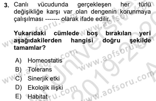 Ekoloji ve Çevre Bilgisi Dersi 2019 - 2020 Yılı (Vize) Ara Sınav Soruları 3. Soru