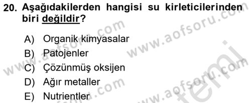 Ekoloji ve Çevre Bilgisi Dersi 2019 - 2020 Yılı (Final) Dönem Sonu Sınav Soruları 20. Soru