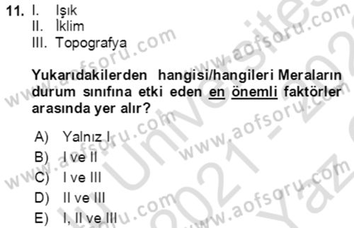 Ekoloji ve Çevre Bilgisi Dersi 2020 - 2021 Yılı Yaz Okulu Sınav Soruları 11. Soru