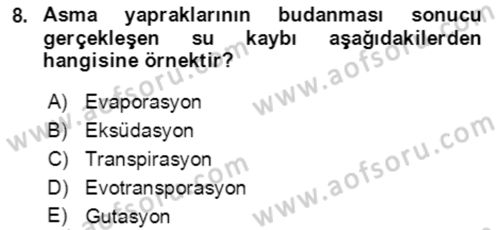 Ekoloji ve Çevre Bilgisi Dersi 2020 - 2021 Yılı Yaz Okulu Sınav Soruları 8. Soru