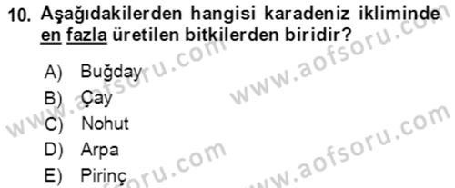 Ekoloji ve Çevre Bilgisi Dersi 2021 - 2022 Yılı (Vize) Ara Sınav Soruları 10. Soru