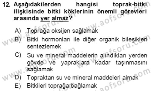 Ekoloji ve Çevre Bilgisi Dersi Ara Sınavı Deneme Sınav Soruları 12. Soru