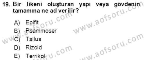 Ekoloji ve Çevre Bilgisi Dersi 2021 - 2022 Yılı (Vize) Ara Sınav Soruları 19. Soru