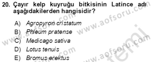 Ekoloji ve Çevre Bilgisi Dersi Ara Sınavı Deneme Sınav Soruları 20. Soru