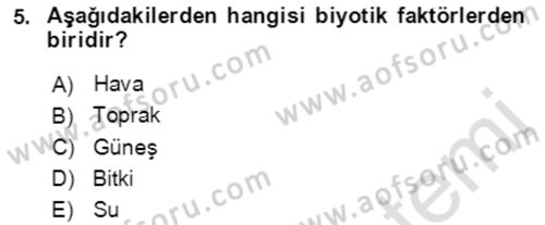 Ekoloji ve Çevre Bilgisi Dersi 2021 - 2022 Yılı (Vize) Ara Sınav Soruları 5. Soru