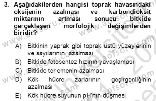 Ekoloji ve Çevre Bilgisi Dersi 2021 - 2022 Yılı (Final) Dönem Sonu Sınav Soruları 3. Soru