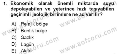 Ekoloji ve Çevre Bilgisi Dersi 2021 - 2022 Yılı Yaz Okulu Sınav Soruları 1. Soru