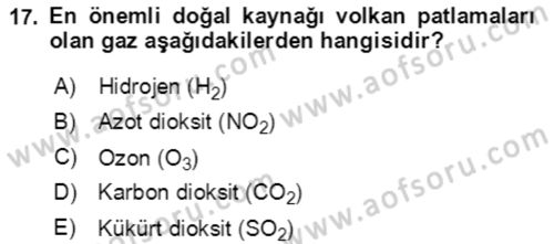 Ekoloji ve Çevre Bilgisi Dersi 2021 - 2022 Yılı Yaz Okulu Sınav Soruları 17. Soru