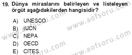 Ekoloji ve Çevre Bilgisi Dersi 2021 - 2022 Yılı Yaz Okulu Sınav Soruları 19. Soru