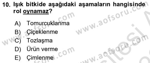Ekoloji ve Çevre Bilgisi Dersi 2022 - 2023 Yılı (Vize) Ara Sınav Soruları 10. Soru