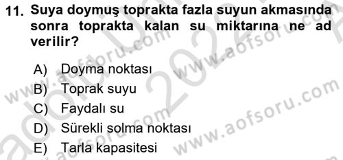 Ekoloji ve Çevre Bilgisi Dersi 2022 - 2023 Yılı (Vize) Ara Sınav Soruları 11. Soru