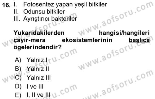 Ekoloji ve Çevre Bilgisi Dersi 2022 - 2023 Yılı (Vize) Ara Sınav Soruları 16. Soru